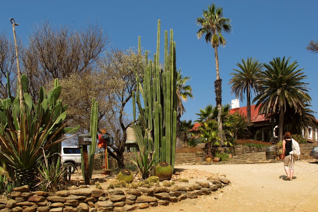 Düsternbrook (NAM); Safari Guest Farm by HeinzBa