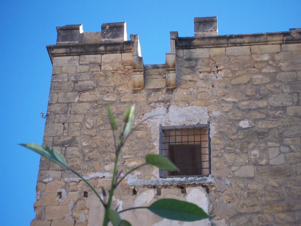 DETALLE TORRE PLACIA by ART3MINOTAURO