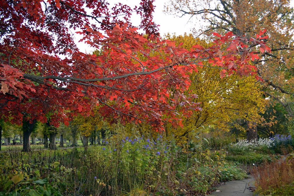 Hannover, Berggarten by basti1962