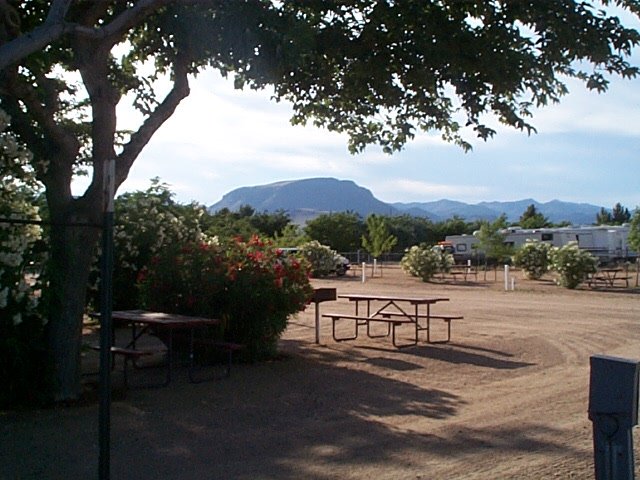 The campground landscaping helped mitigate the desert harshness of Kingman. by goinc2c