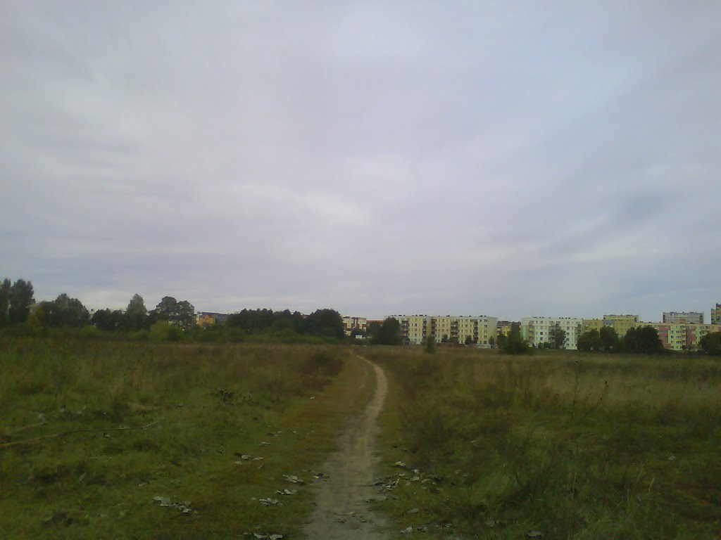 Ul. Gorbatowa / Żebrowskiego widok w stronę Goworoska by Spide