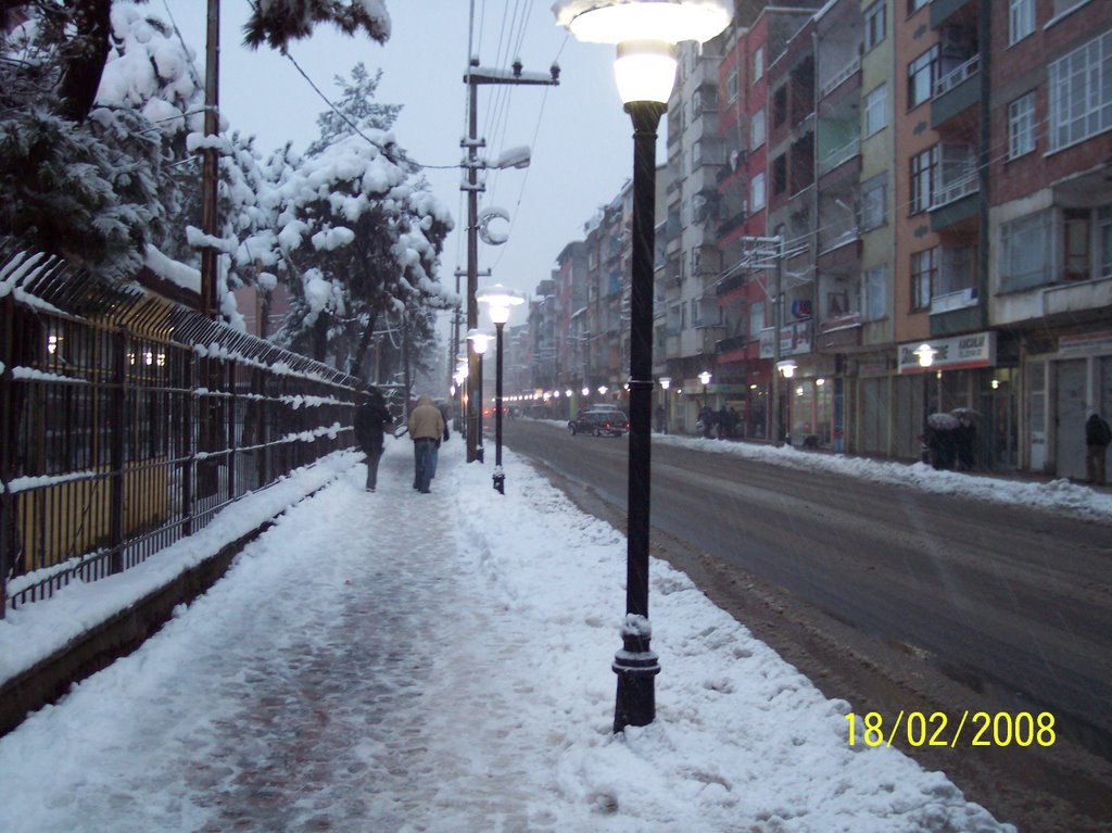 ÜNYE-Niksar caddesi by sevki kebelek