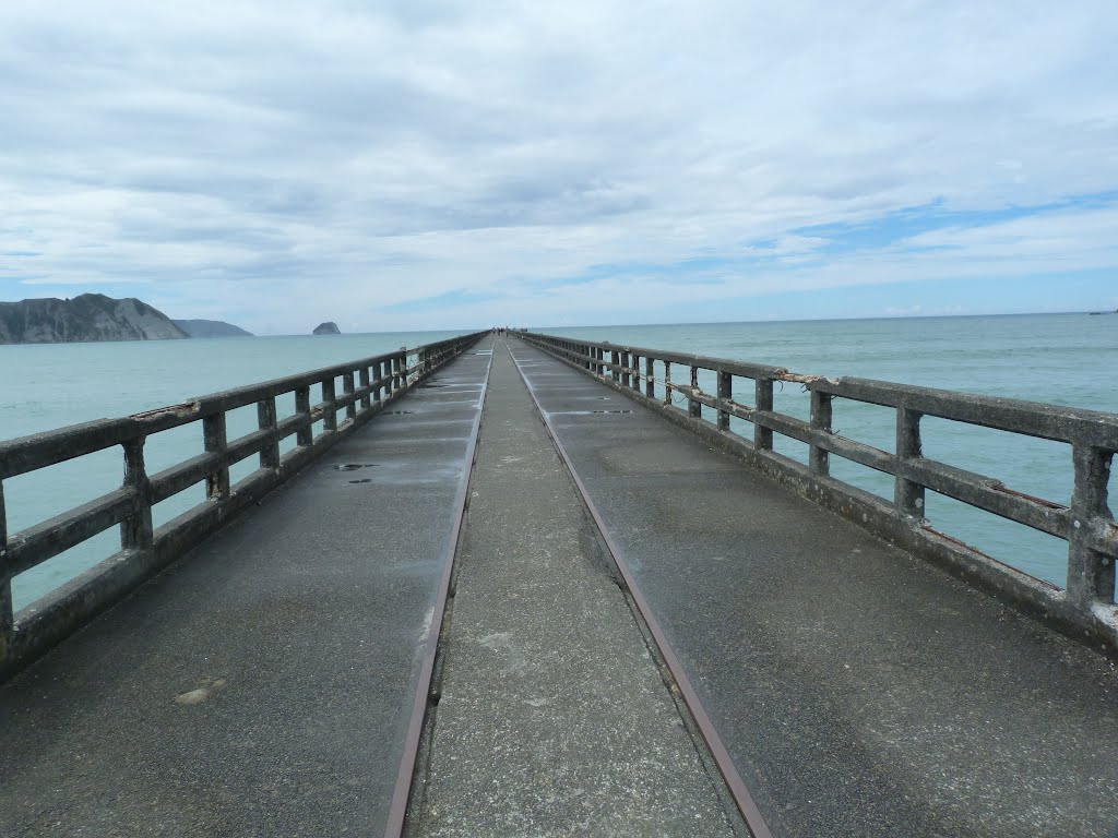 The longest footbridge in the south island. by ☮Ronan 60 countries☮