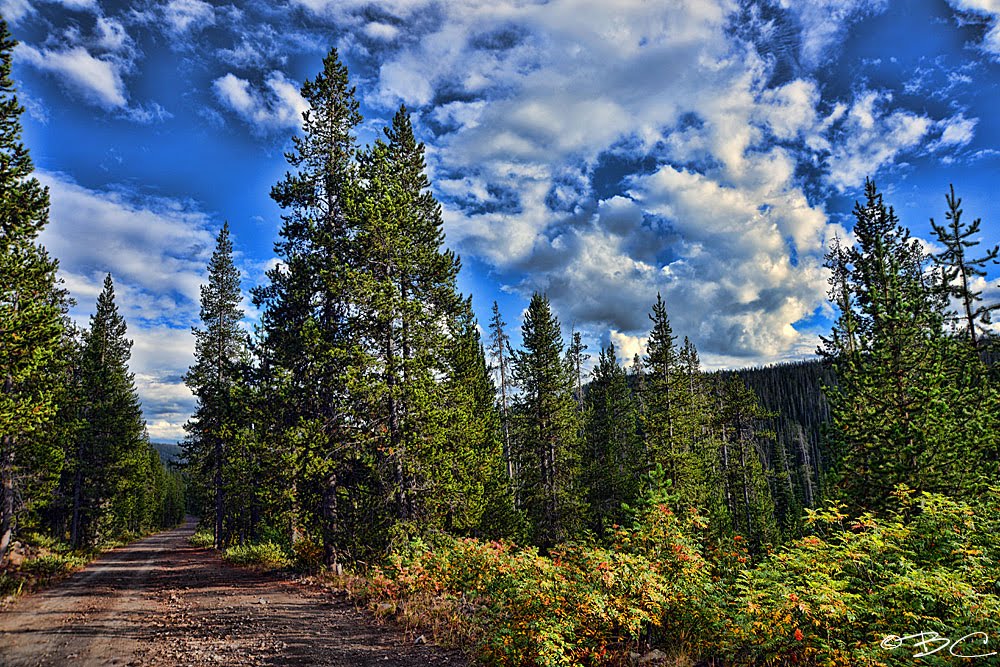 Grassy Lake Road by Brenton Cooper