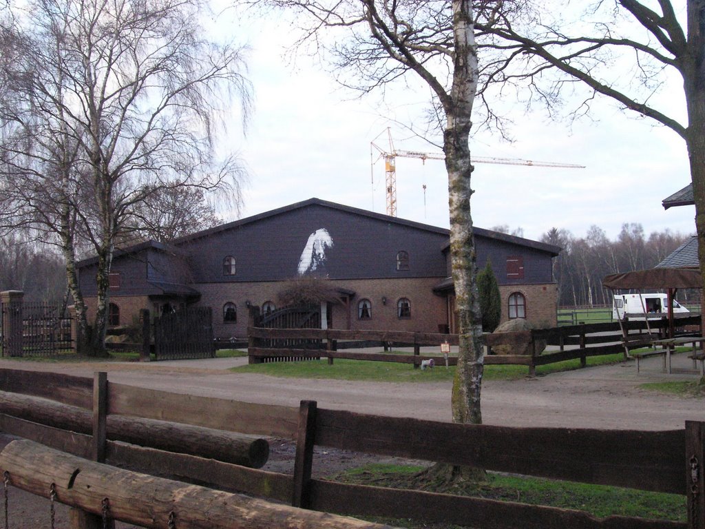 Pony Park Padenstedt - PPP - Haflinger Gestüt by •• HaHeBa (D) ••