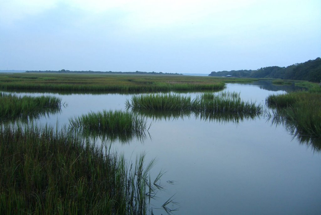 Cumberland_island21 by iwalther