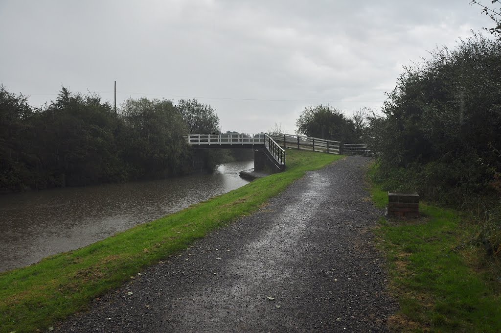 Towpath and bridge by David Humphreys