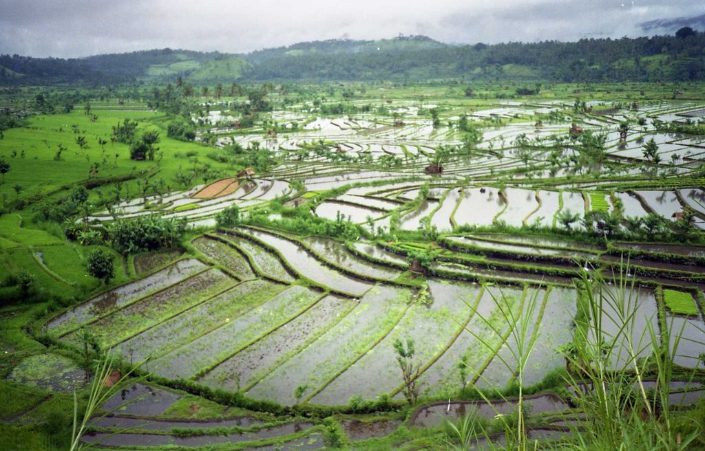 Bali Karangasem, near Tirtagangga by henrivandeputte