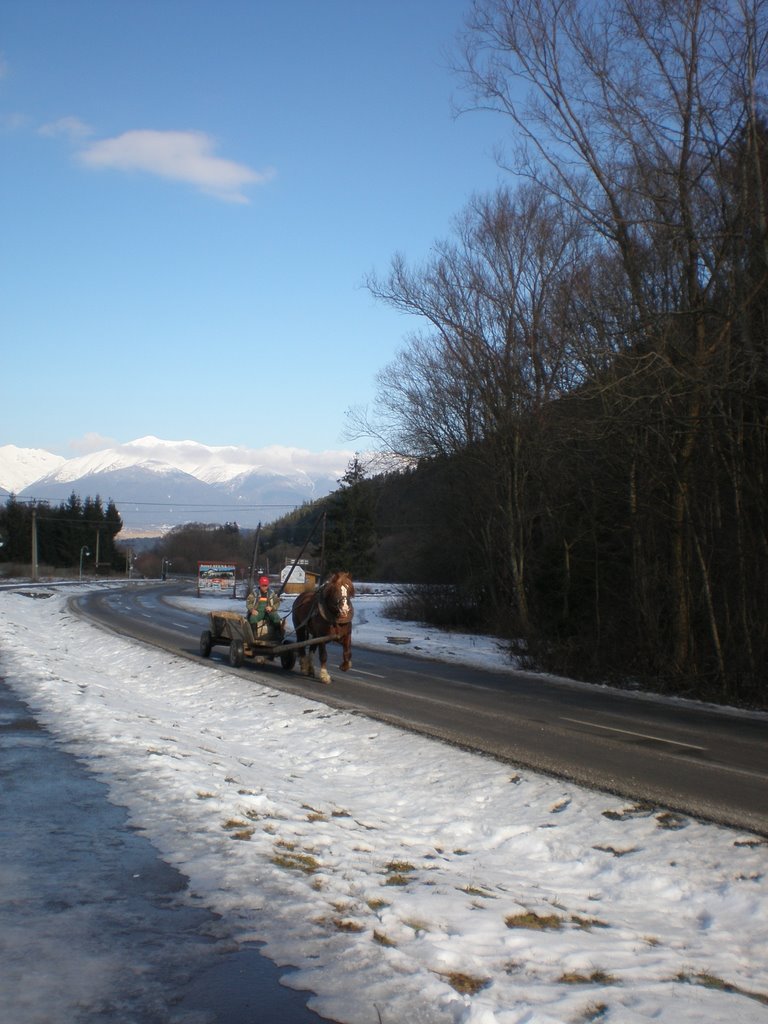 Tatry z Lip. Jána by Viera Obrinova