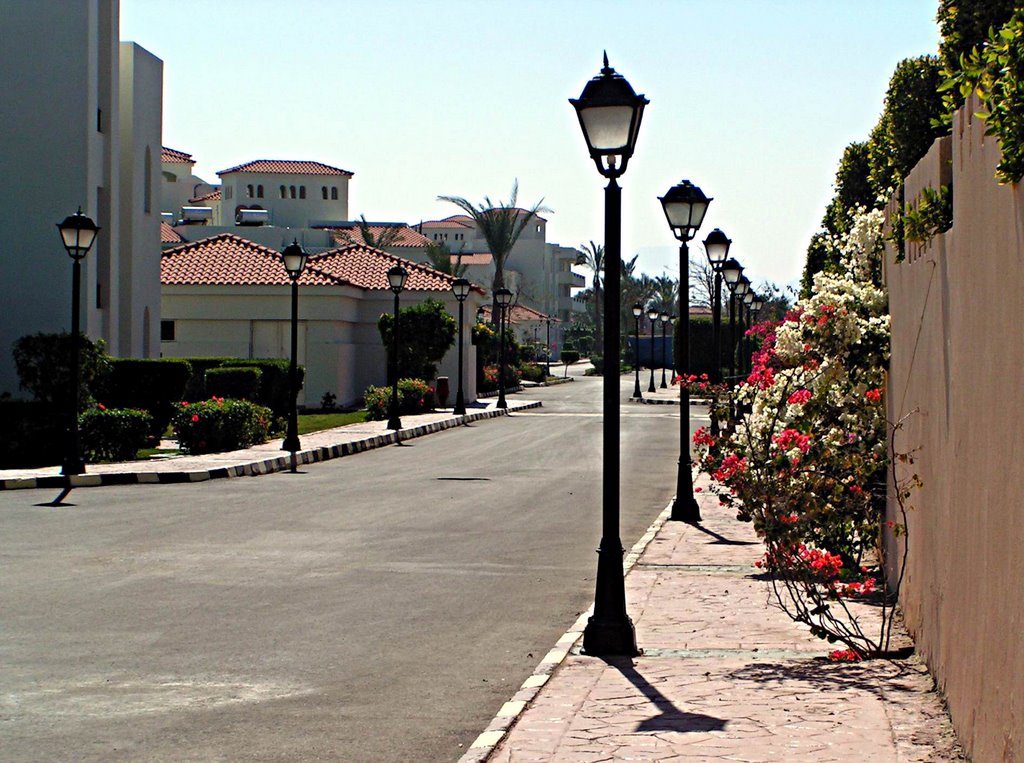 Hurghada, Qesm Hurghada, Red Sea Governorate, Egypt by Semyonov Dmitriy