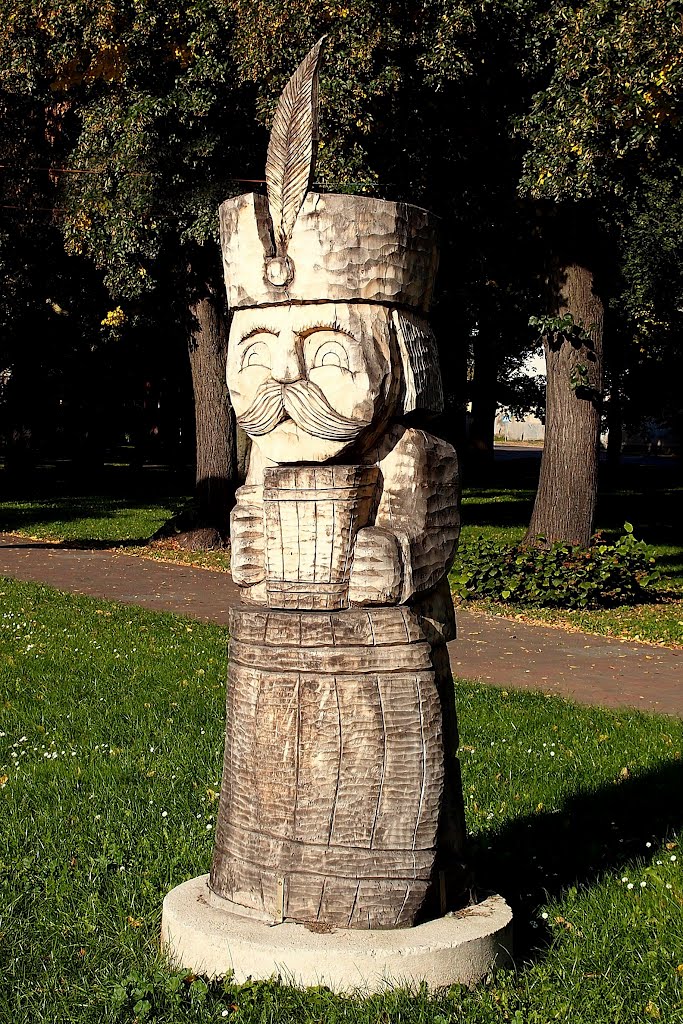 Szamotuły. Sienkiewicz Square by JanKulczak