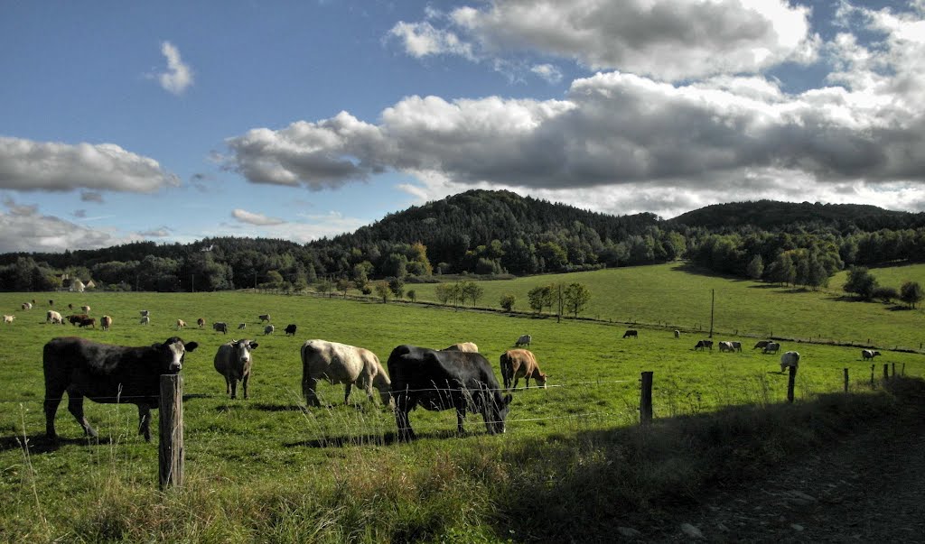 Tašov u ovčárny by metol