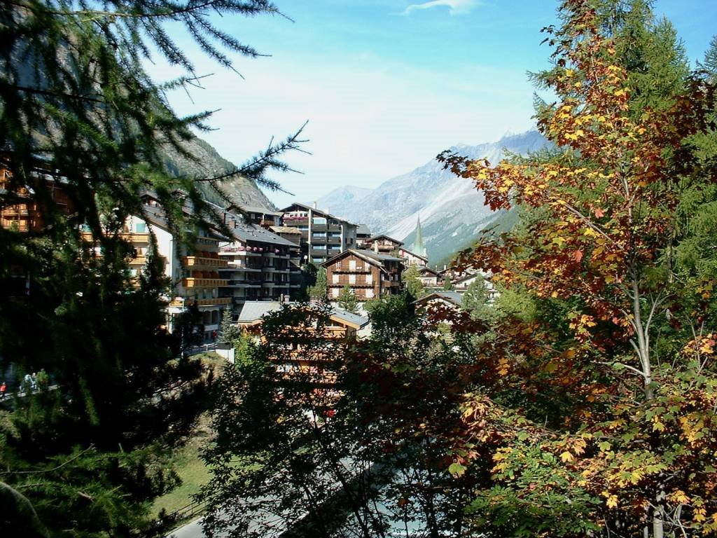 Suisse, vue sur le village de Zermatt by Roger-11