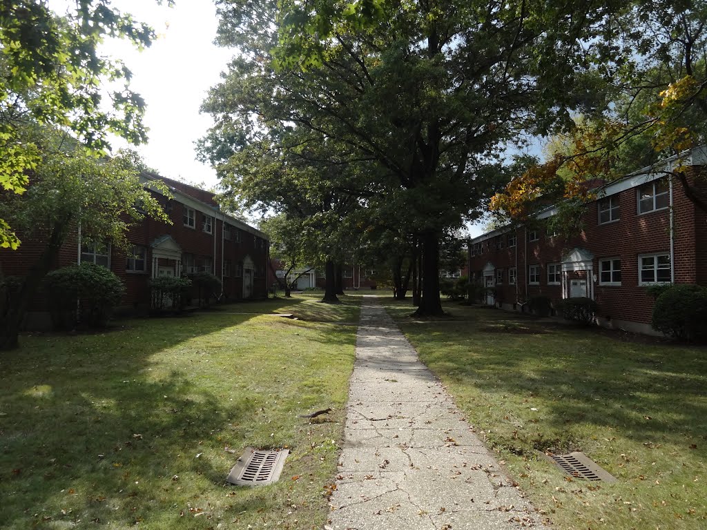 Cortland Green Public Housing by rogerking