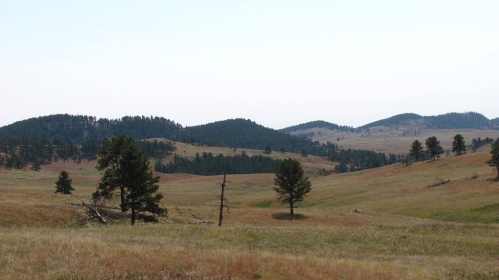 Prairie/coniferous forest ecotone by natureguy42