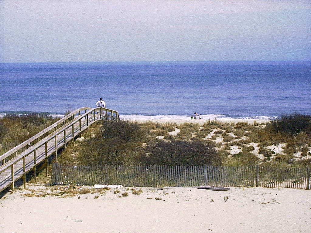 Dune Crossing by Captnmdnight