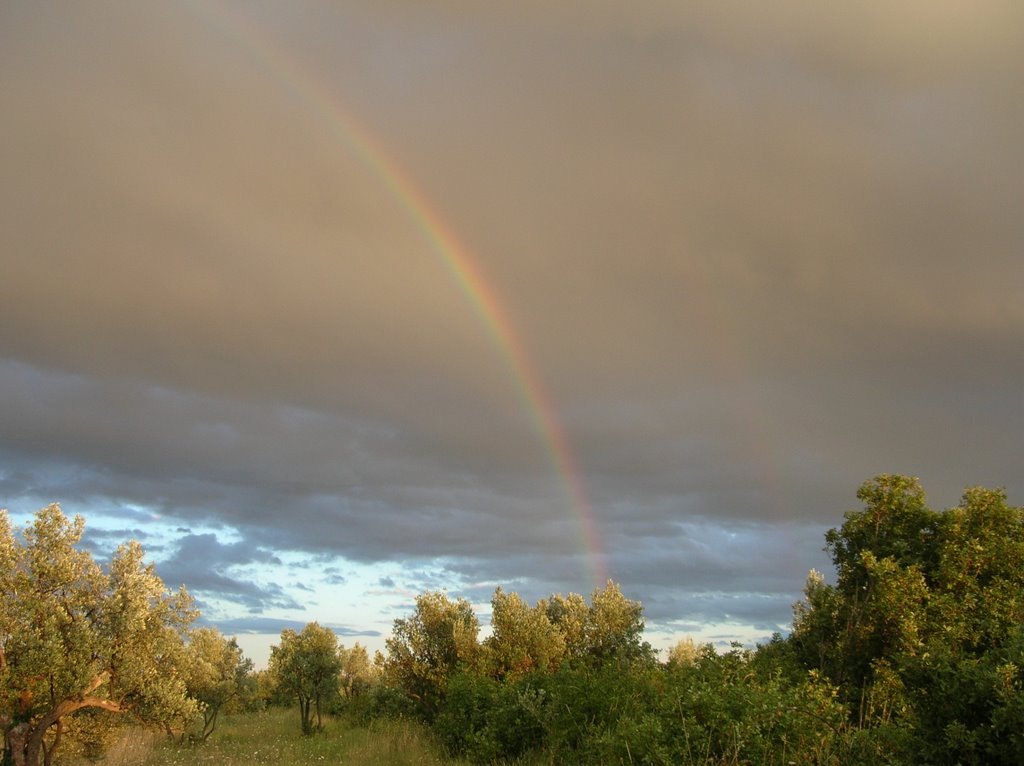 Rainbow over Fasana by Konrad I.