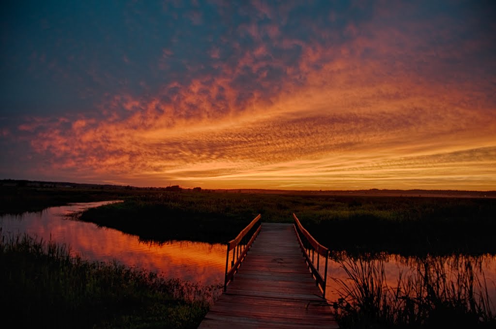 Goose Pond by dcw414s