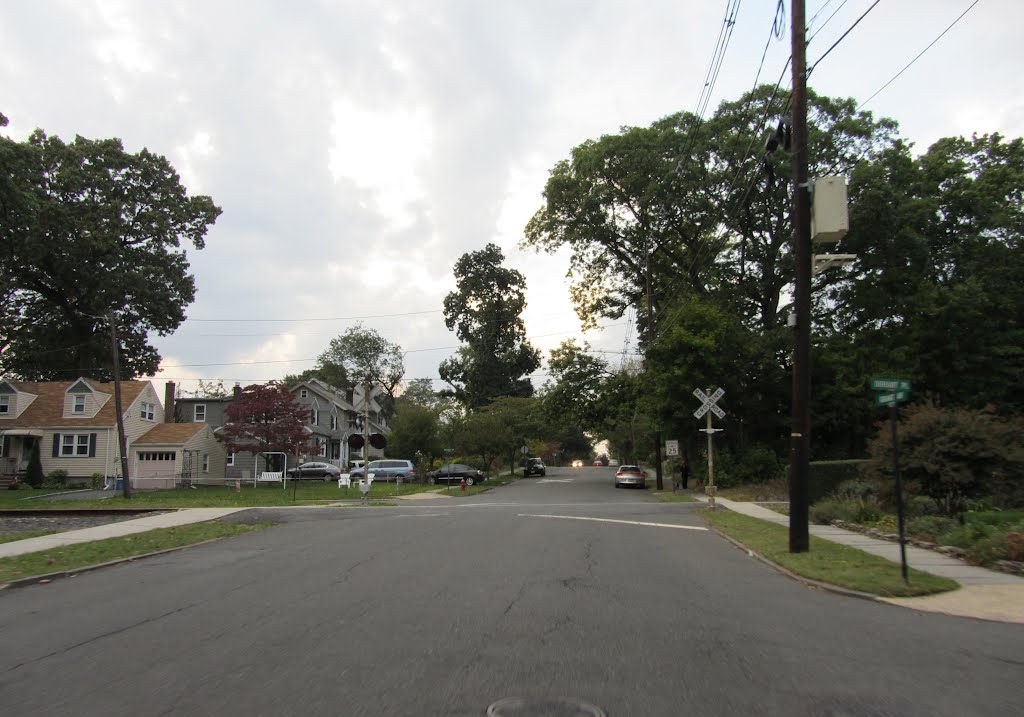 Grant Ave RR Xing by Adam Elmquist