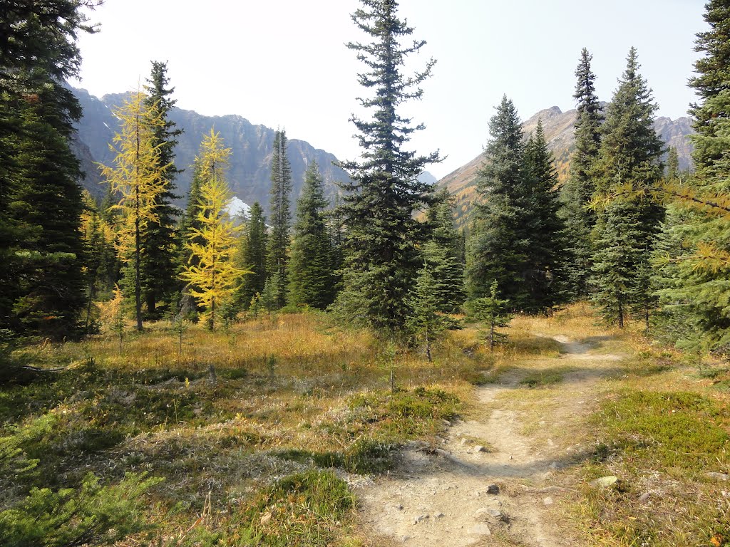 Trail ended on Taylor lake ...2012. by Tony Sterl