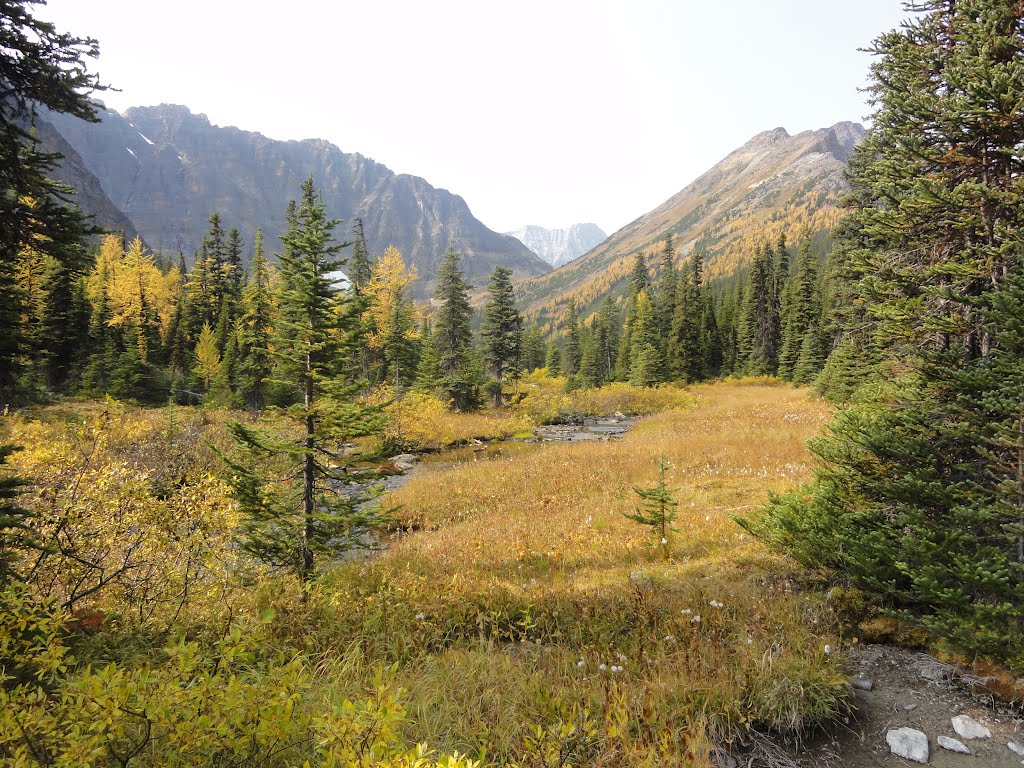 National Park and close to Taylor lake... 2012. by Tony Sterl