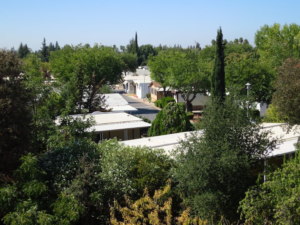 Close up of mobile home park from Routier Rd. (looking west) by VasMan