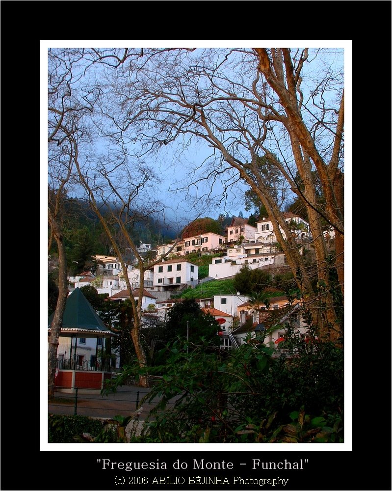 Freguesia do Monte - Funchal by Abílio Béjinha - Por…