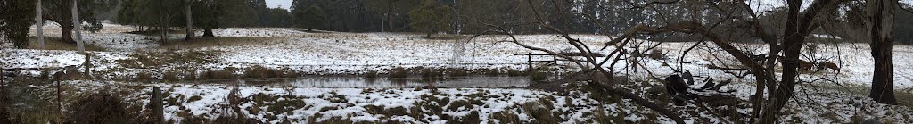 Snow at Yetholme panorama by Richard Sollorz