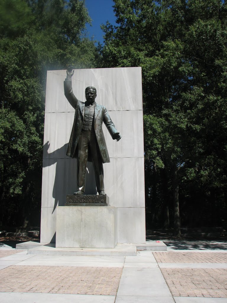 Theodore Roosevelt Memorial by johnmewing