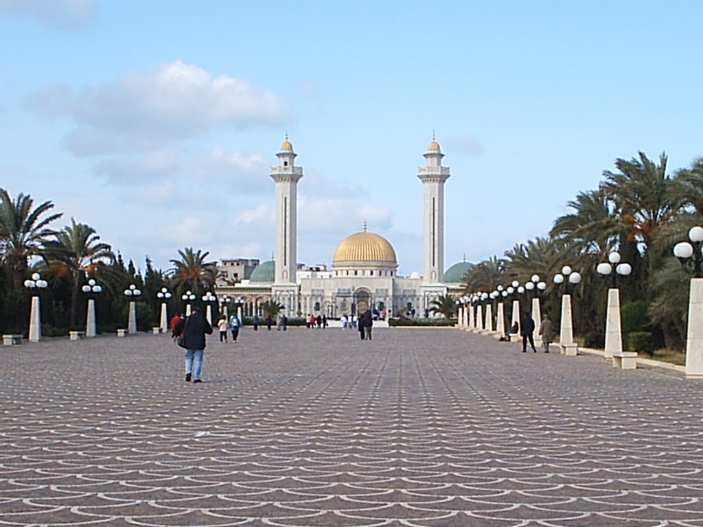 Mausoleo Monastir by DanieleNovara