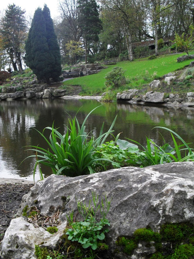 Avenham park, Preston by Michal Rakineki