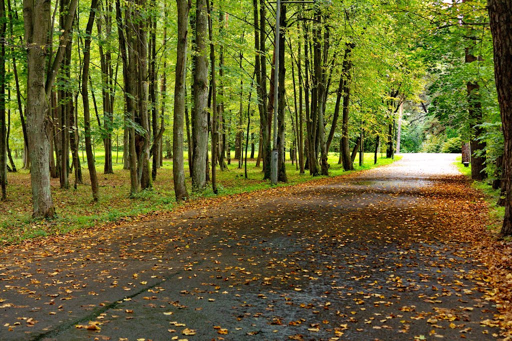 Vilnius, Park Vingis by SergejCh