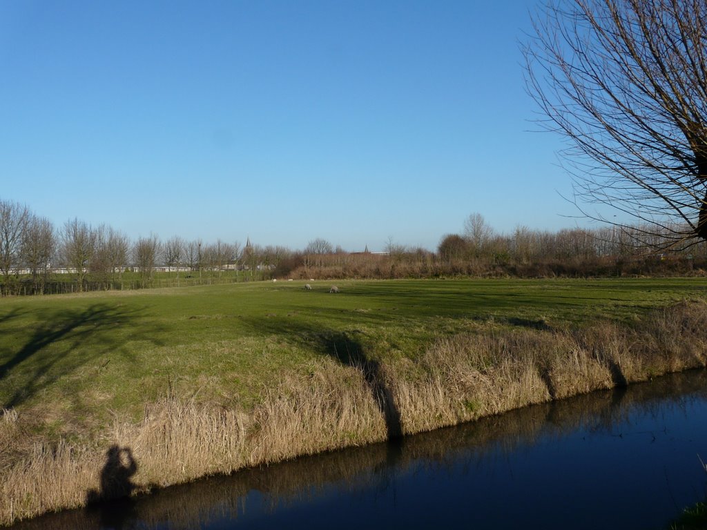 Driehoekig weiland tussen Houtensewetering en Rondweg, Houten by David Jimmink