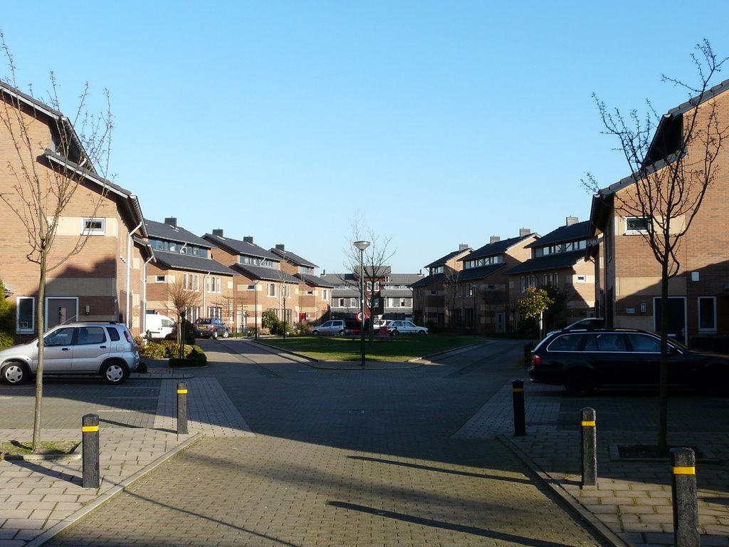 Iepenhout (wijk Leebrug 2), Houten by David Jimmink