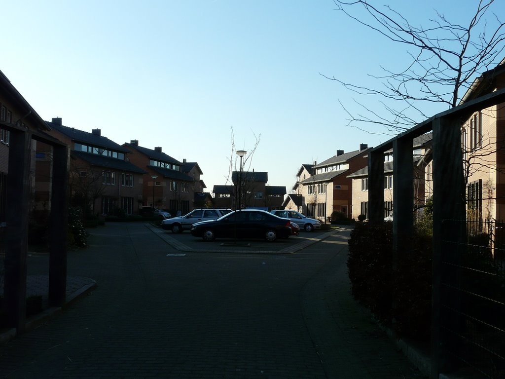 Iepenhout (wijk Leebrug 2) in de schaduw van de februarizon, Houten by David Jimmink