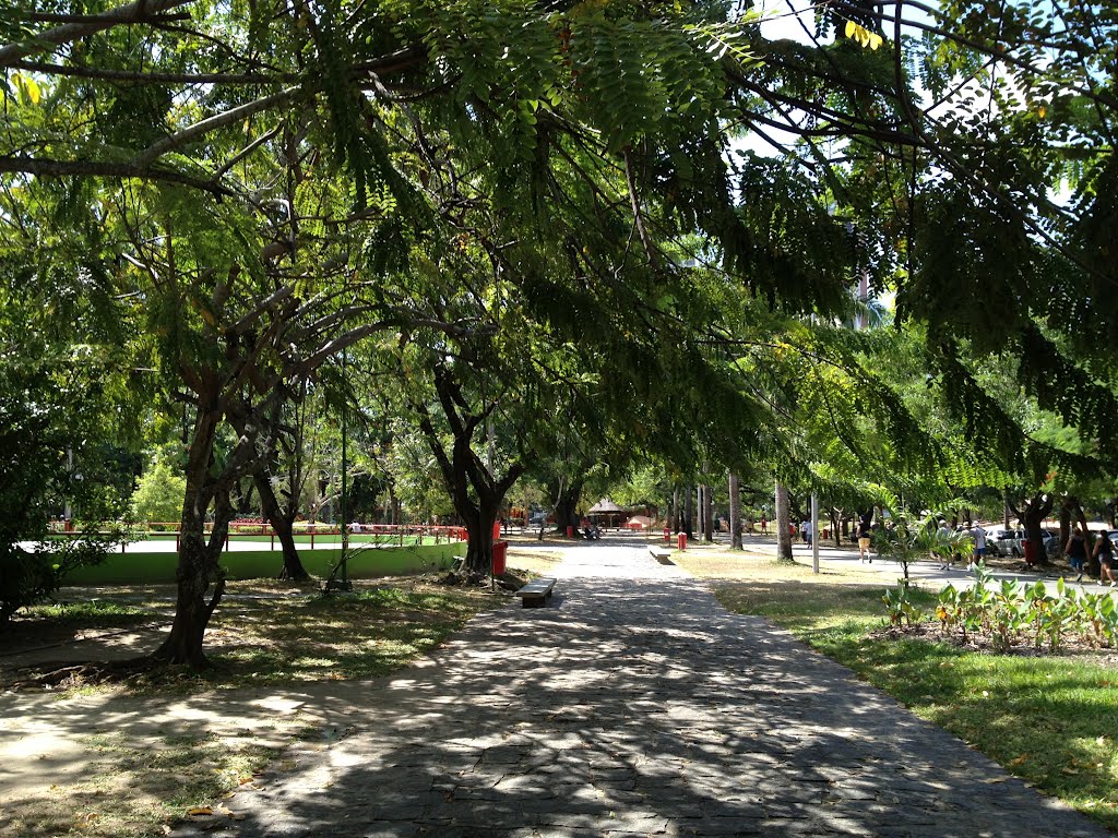 Parque da Jaqueira - Recife-PE. by Nordeste