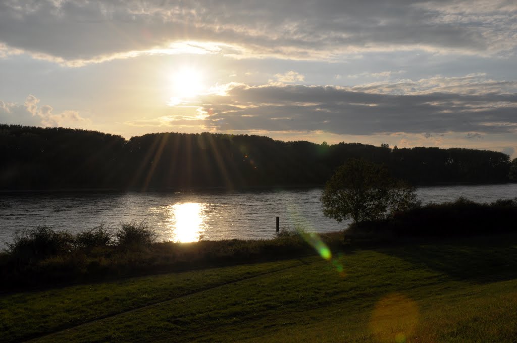 Rhine Impressions near Mondorf / Germany. Photographed in September 2012. Rhein - Impressionen im September 2012 bei Mondorf by © "Earth Views"