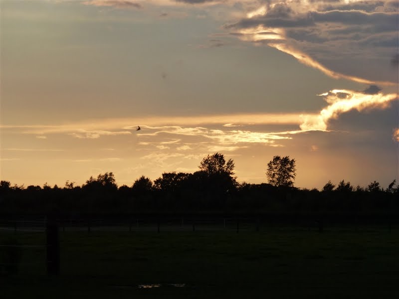 Mooie lucht boven Siddeburen by Netty van der Deen - Flikkema