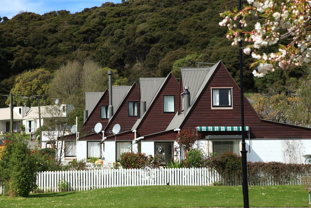 Houses in Akaroa by Rodgers66