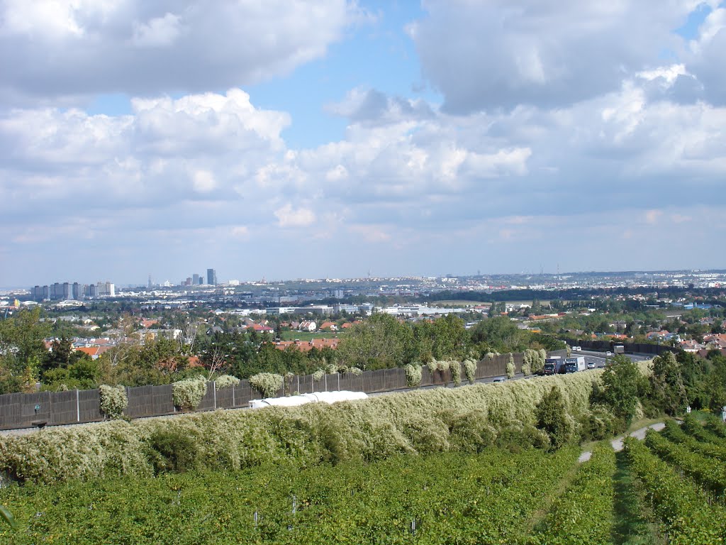 Blick vom Brunner Berg auf Wien by Florian V.