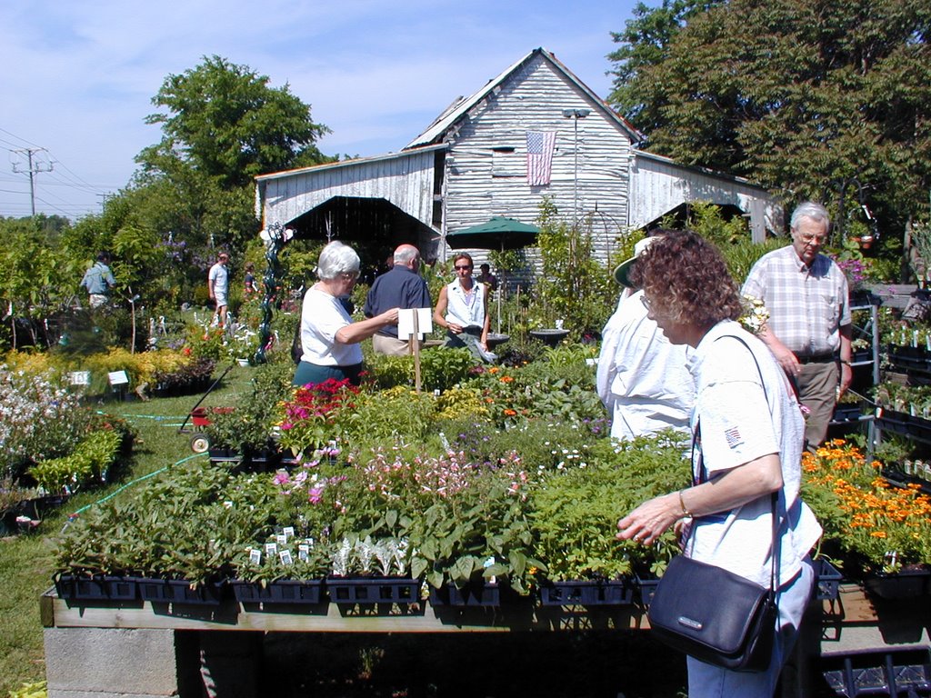 Sanctuaries Unique Garden Center by skybluesea