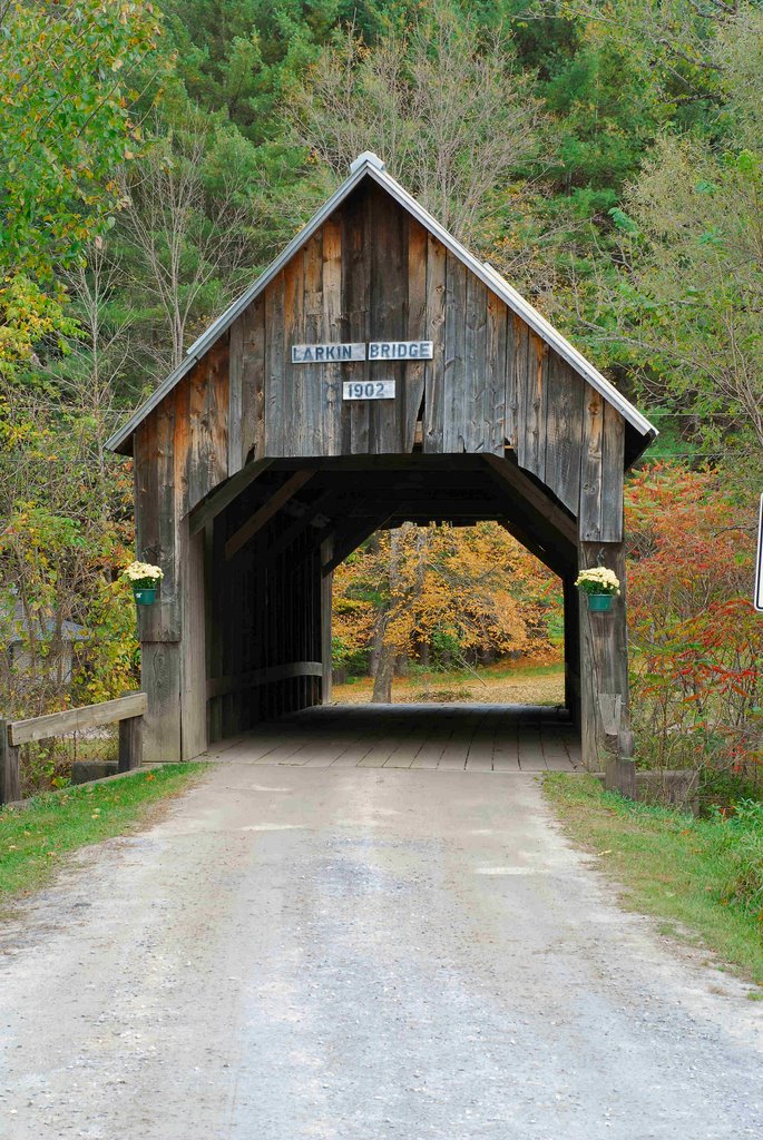 Larkin Covered Bridge by Wayne Wrights