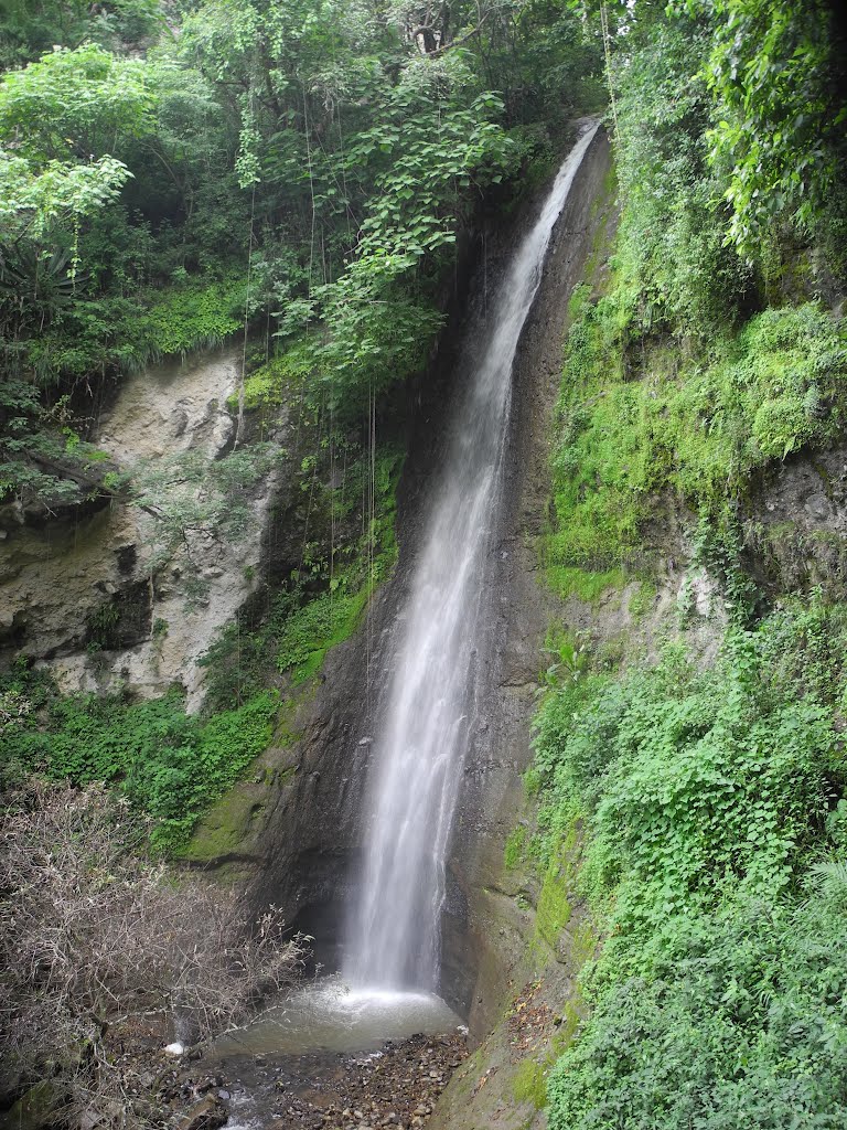 Nature Reserve of San Buenaventura, Lago Atitlan, Guatemala by hschwe