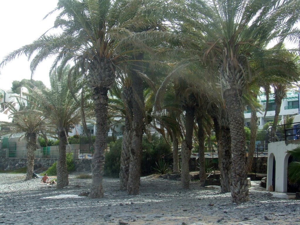 Playa del Águila, Gran Canaria by f.cata