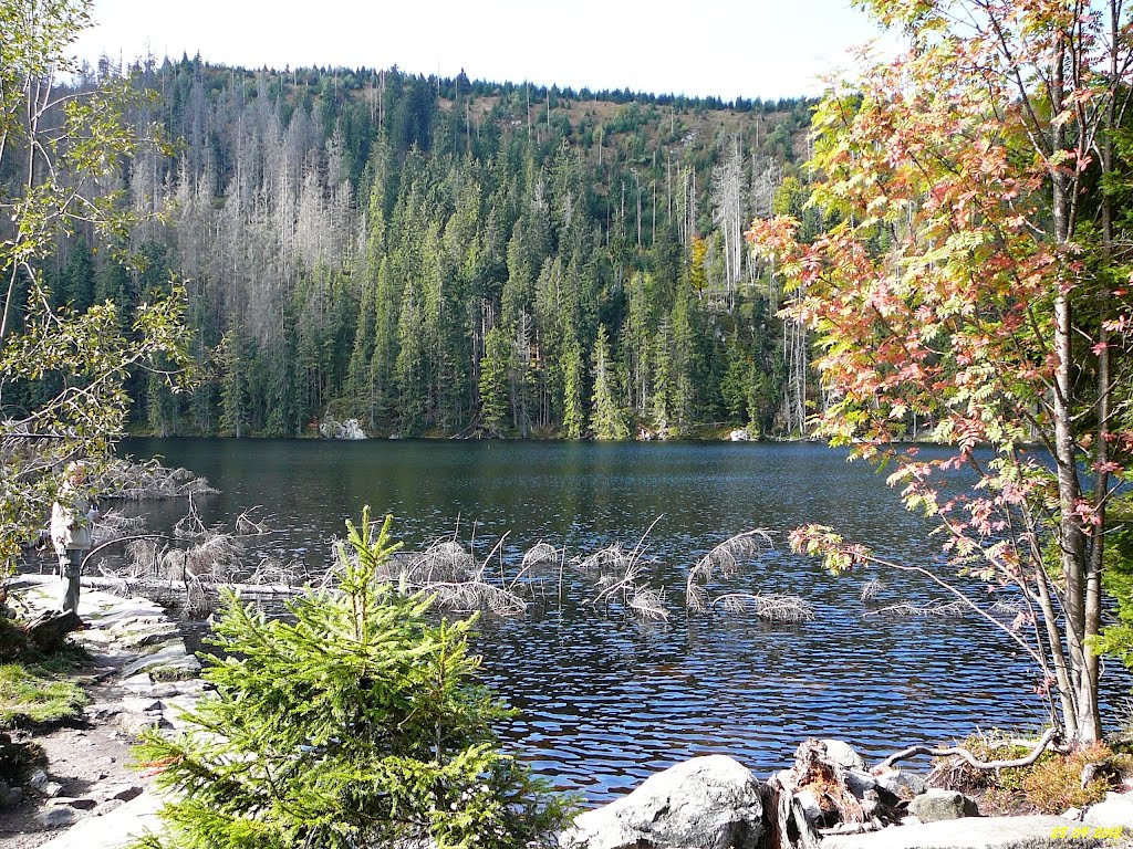 Prášilské jezero by Petr Koldovský