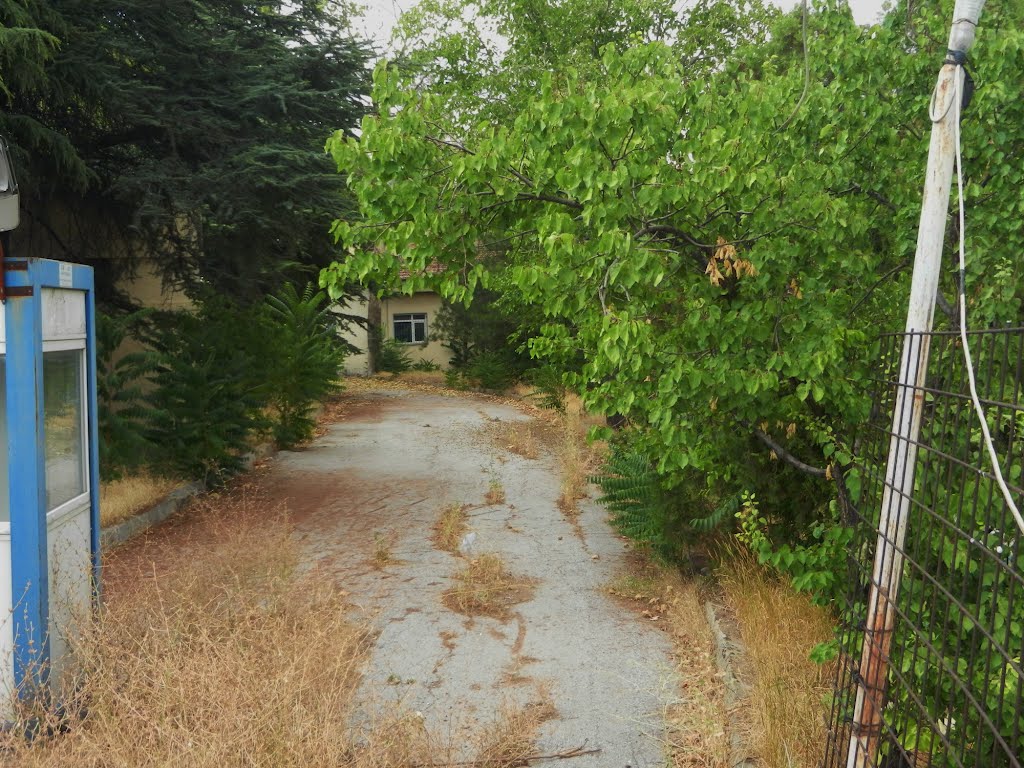 Su Süzgeçi girişindeki yol yol olmaya başlamış by Ahmet Soyak