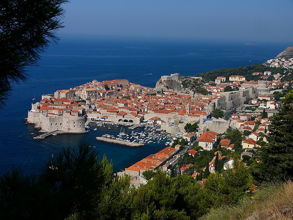 Dubrovnik lenézve by optimatyi