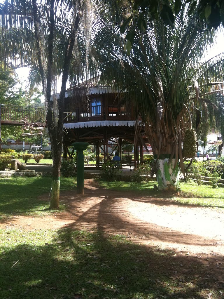 Kiosco Palmas del socorro by seichamaru