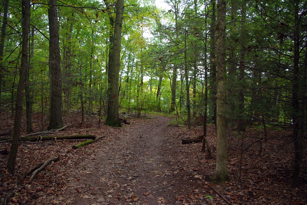 Red Trail Near Cliffs by JasonWardStudios