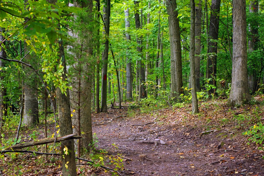 Red Trail near End by JasonWardStudios